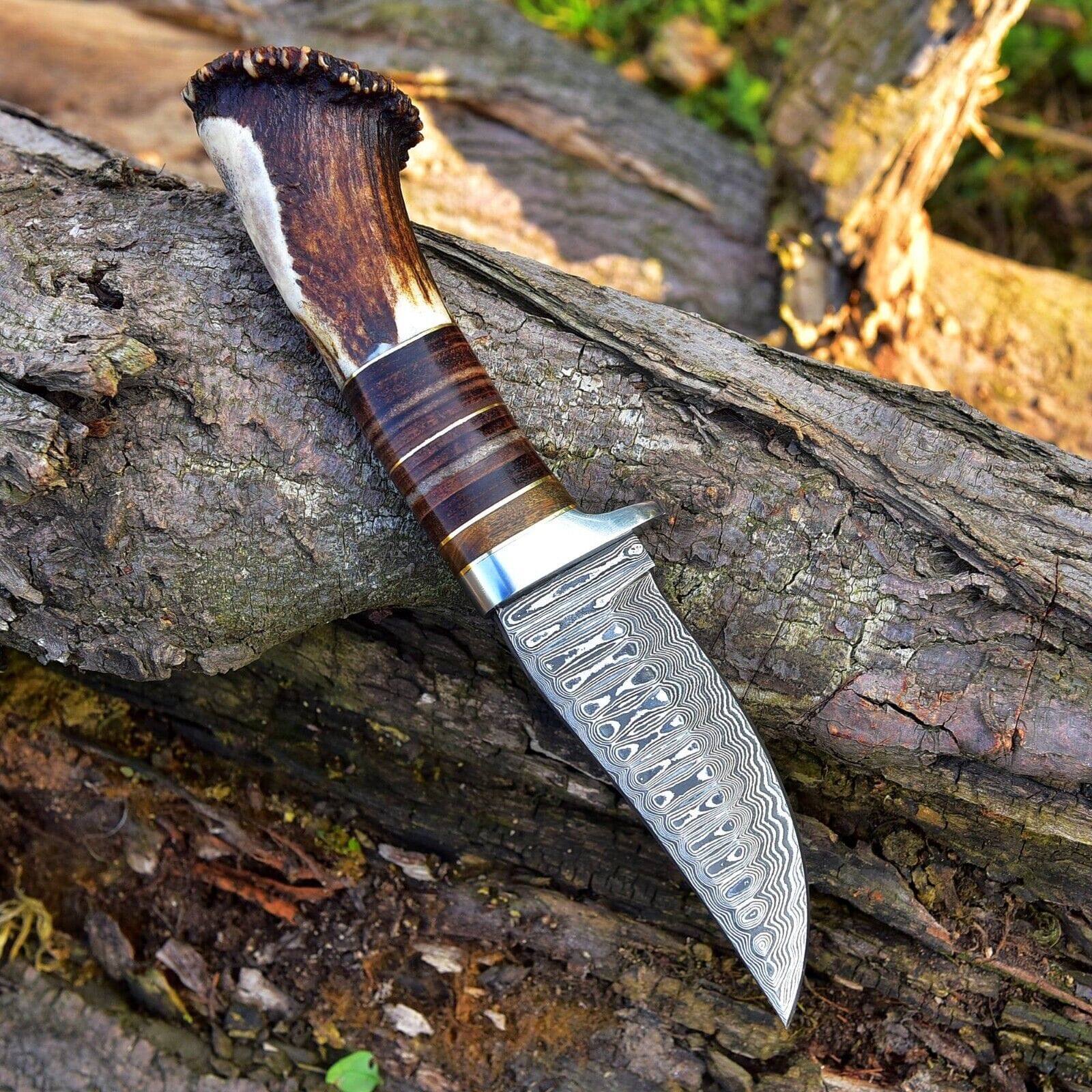 KBS Knives Store Hunting Knife Custom Handmade Damascus Steel Hunting Knife with Rosewood, Stag Horn and Steel Guard Handle - 9 Inches by KBS Knives Store
