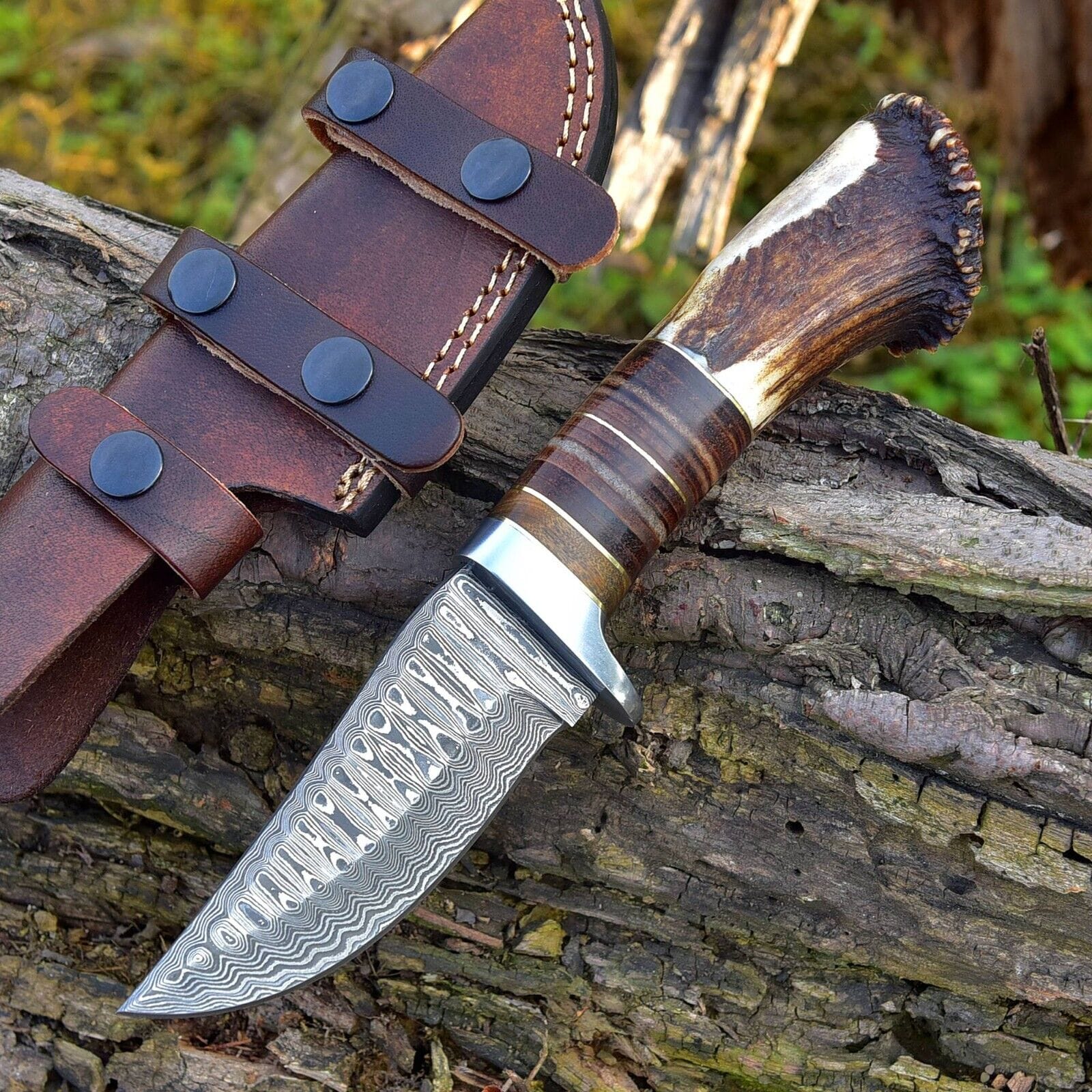 KBS Knives Store Hunting Knife Custom Handmade Damascus Steel Hunting Knife with Rosewood, Stag Horn and Steel Guard Handle - 9 Inches by KBS Knives Store