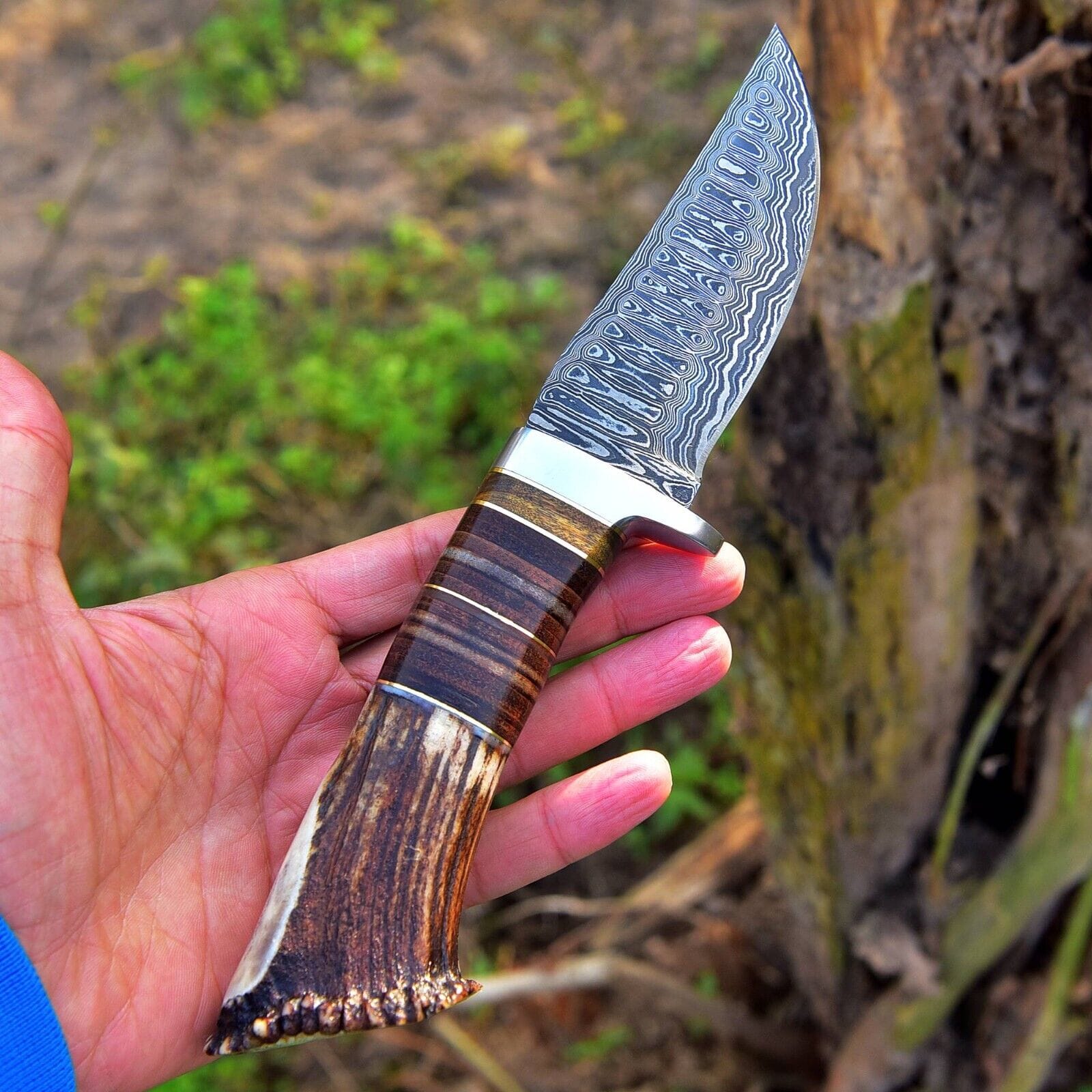 KBS Knives Store Hunting Knife Custom Handmade Damascus Steel Hunting Knife with Rosewood, Stag Horn and Steel Guard Handle - 9 Inches by KBS Knives Store