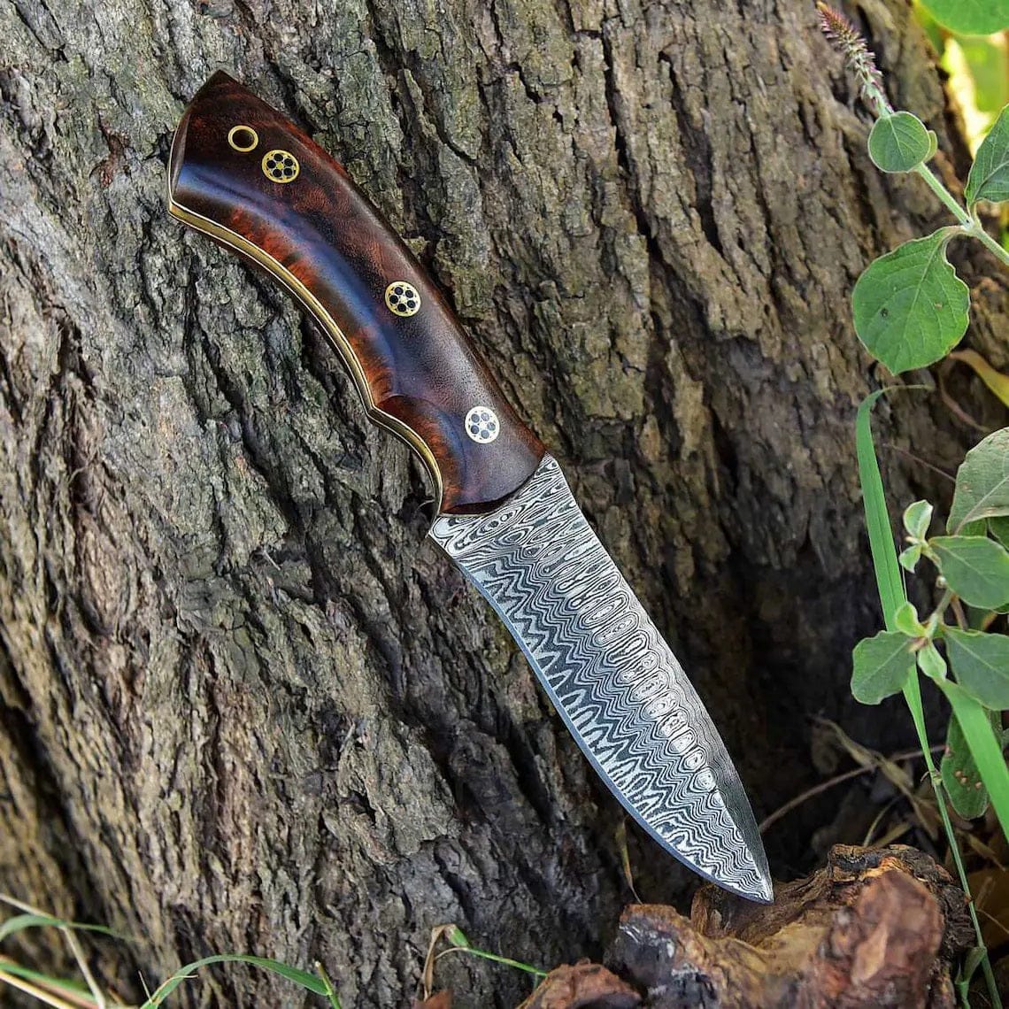 KBS Knives Store Hunting Knife KBS Knives - 'Wilderness Warrior' Custom Handmade Damascus Steel Hunting Knife with Rosewood Handle