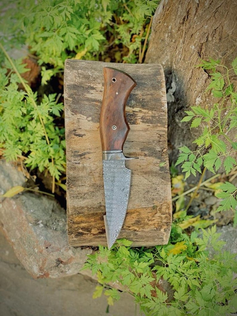 KBS Knives Store Hunting Knife The Hunter's Favorite: 10-Inch Hunting Knife with Damascus Steel Blade, Rosewood Handle, and Damascus Guard