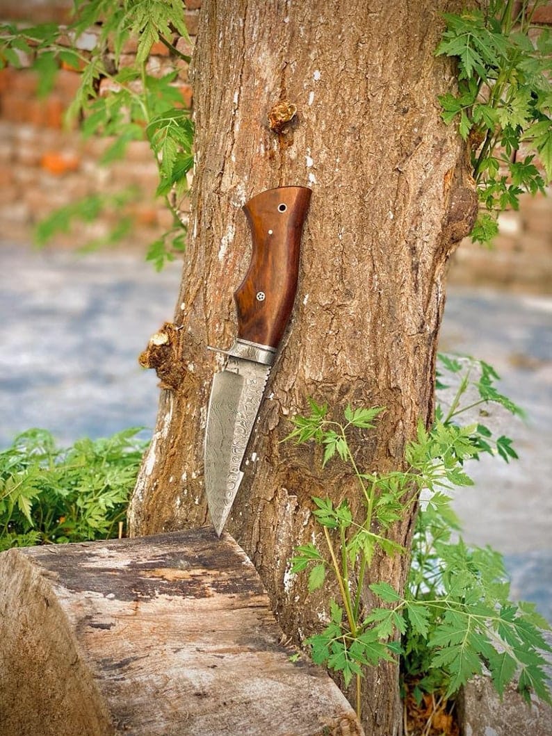 KBS Knives Store Hunting Knife The Hunter's Favorite: 10-Inch Hunting Knife with Damascus Steel Blade, Rosewood Handle, and Damascus Guard