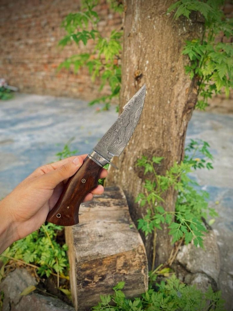 KBS Knives Store Hunting Knife The Hunter's Favorite: 10-Inch Hunting Knife with Damascus Steel Blade, Rosewood Handle, and Damascus Guard
