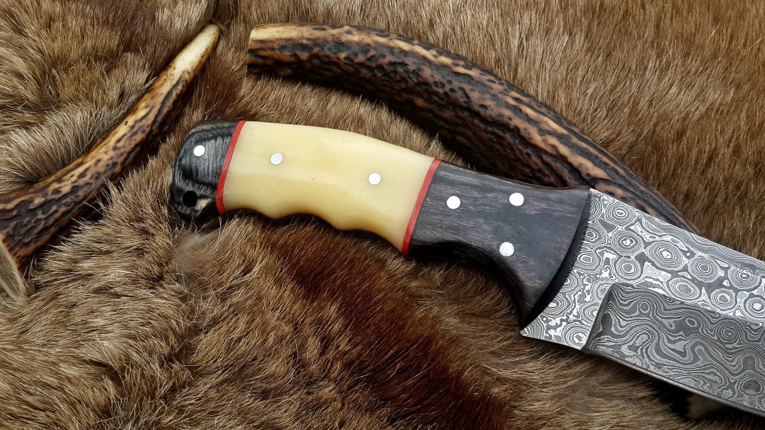 KBS Knives Store Hunting Knife The Master Hunter: Custom Handmade Damascus Steel Fixed-Blade Hunting Knife | Camel Bone & Exotic Wood | 10 Inches | KBS Knives