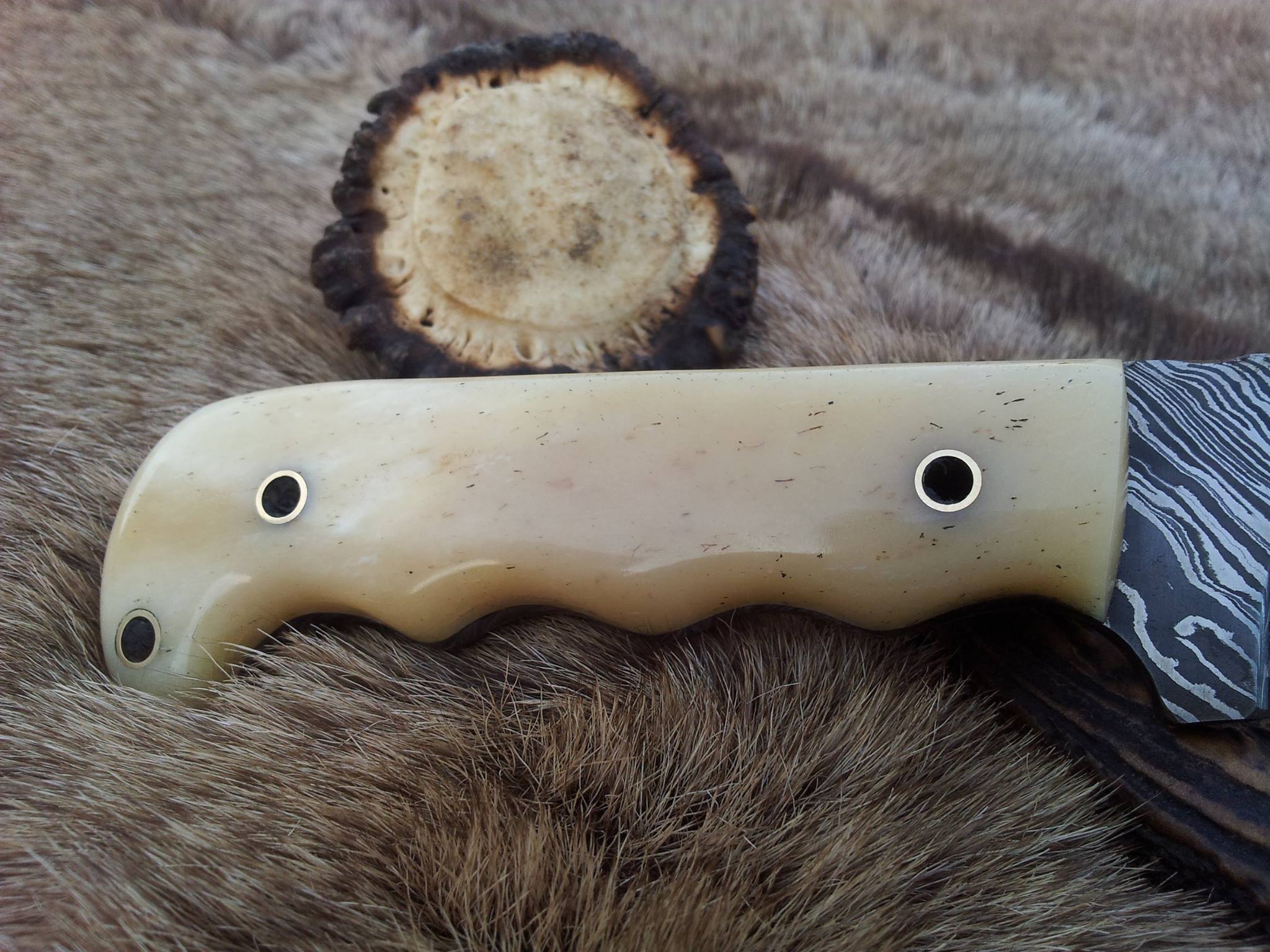 KBS Knives Store Hunting Knife The Wilderness Edge: Custom Handmade Damascus Steel Outdoor Hunting Knife | Bone Handle | 10 Inches | KBS Knives