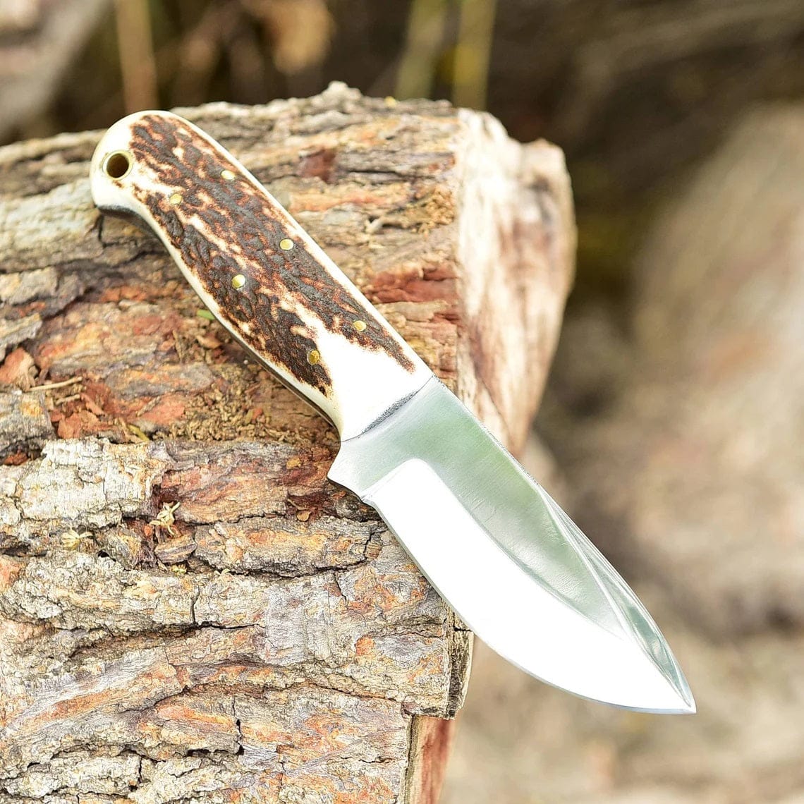KBS Knives Store Skinner Knife "Custom Handmade D2 Steel Skinning Knife | Antler Horn Handle | 7 Inches | Leather Sheath | KBS Knives Store"