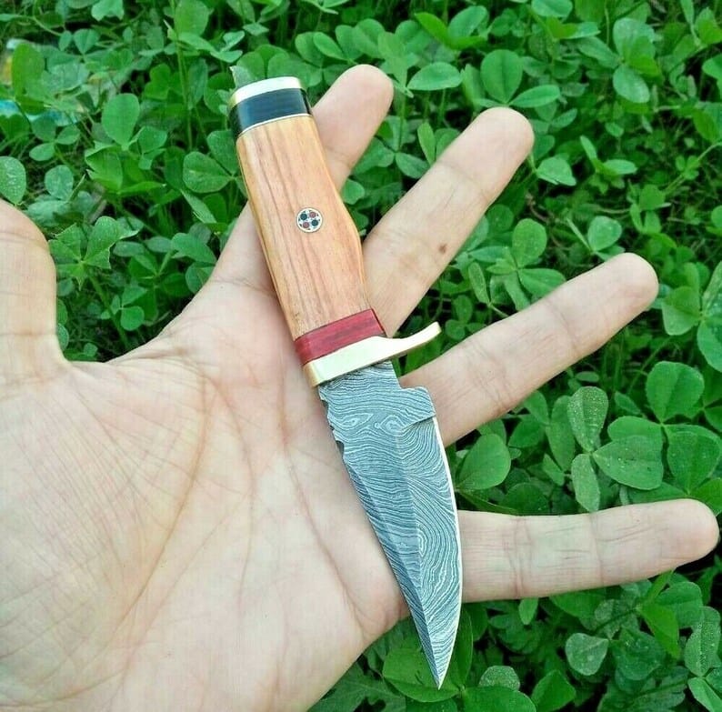 KBS Knives Store Skinner Knife "Exquisite Damascus EDC Skinning Knife | Olive Wood-Brass Guard Handle | 6 Inches | KBS Knives Store"