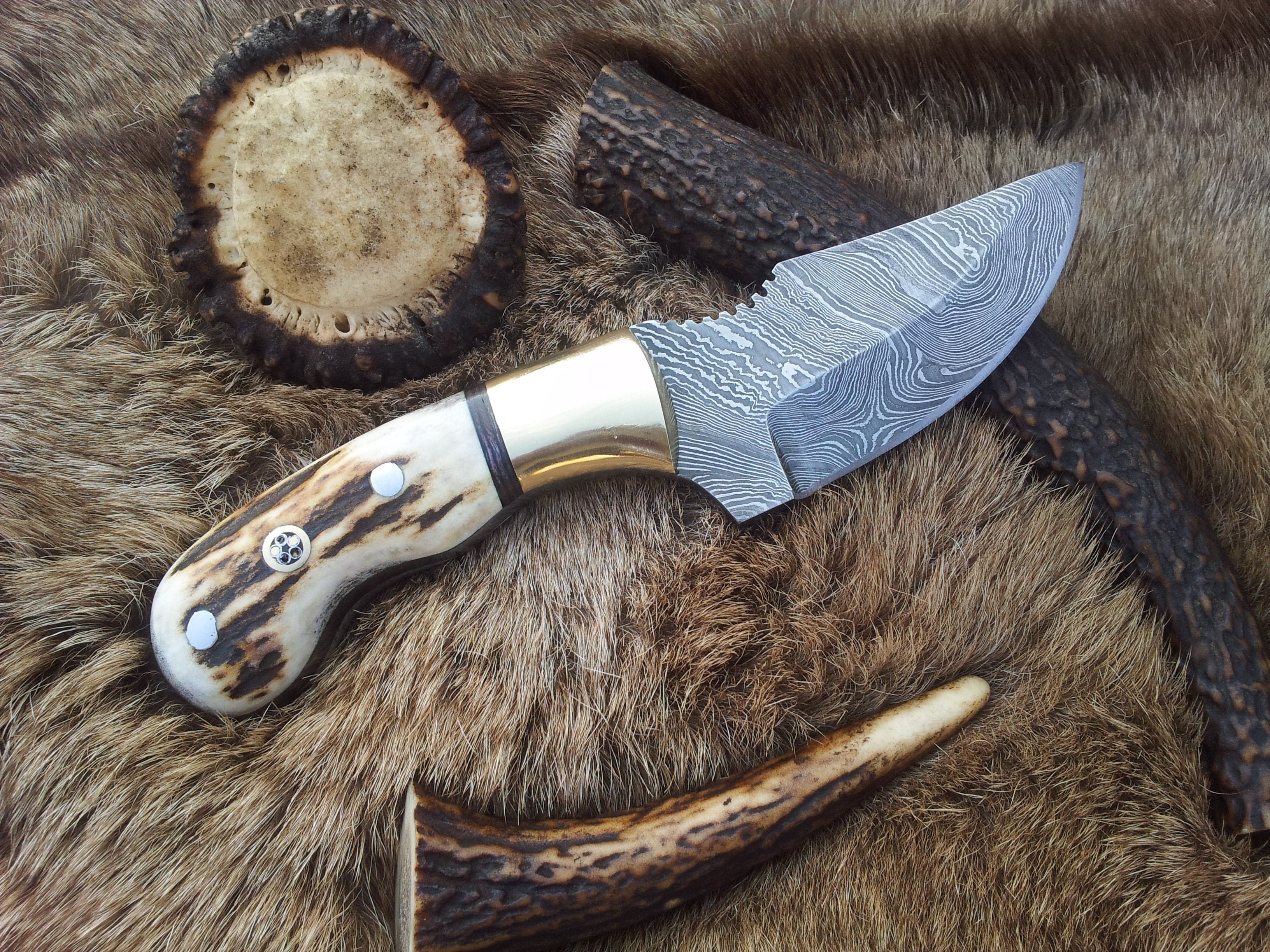 KBS Knives Store Skinner Knives Custom Damascus Steel Field Dressing Deer Skinny Knife – 7.25 Inch Drop Point Blade with Antler Horn Handle and Brass Bolster