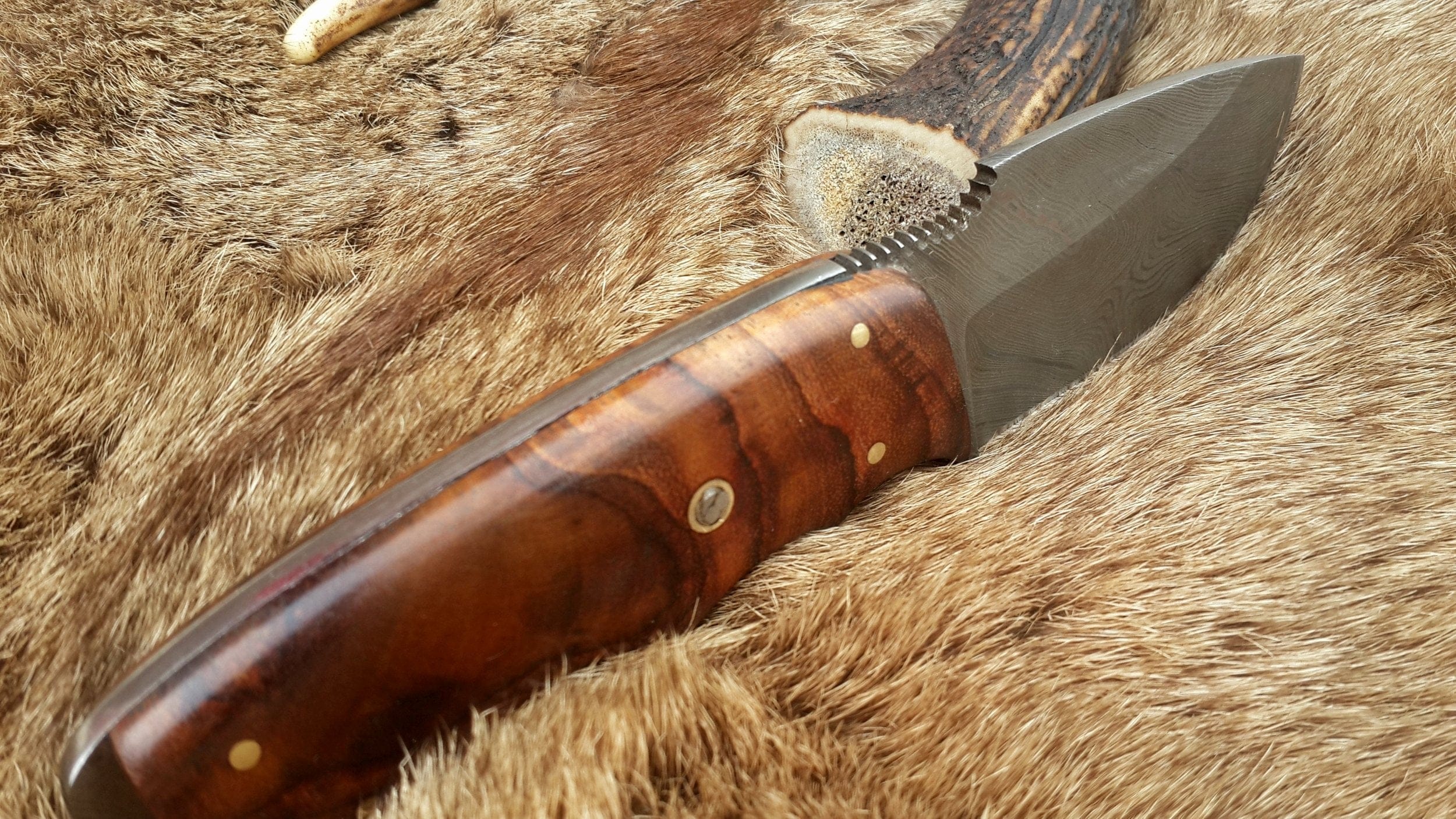 KBS Knives Store Skinner Knives Skinning Blade Custom Handmade Full Tang Damascus Steel with Rosewood Handle, 7.5-inch - The Rosewood Edge