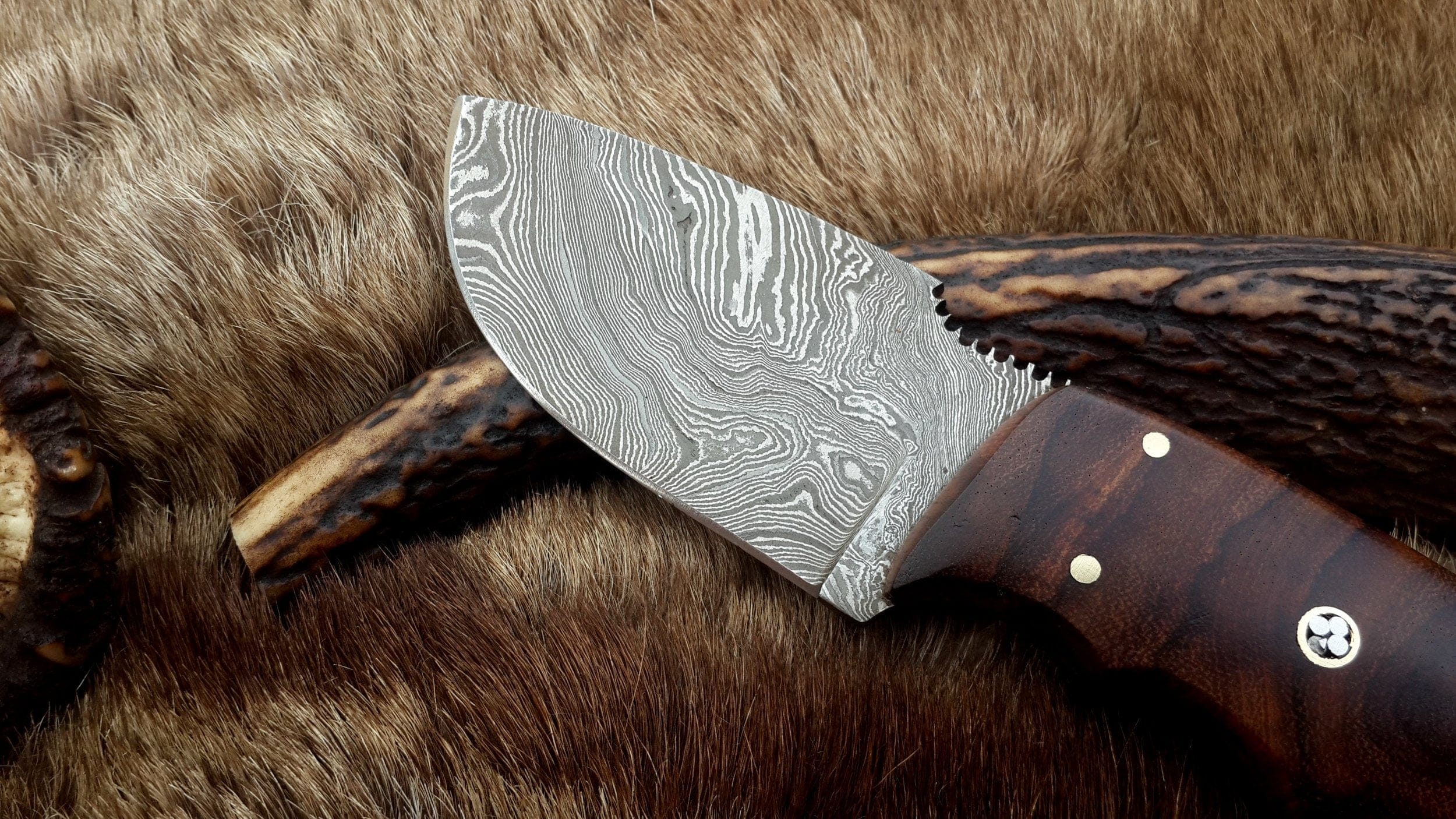 KBS Knives Store Skinner Knives Skinning Blade Custom Handmade Full Tang Damascus Steel with Rosewood Handle, 7.5-inch - The Rosewood Edge