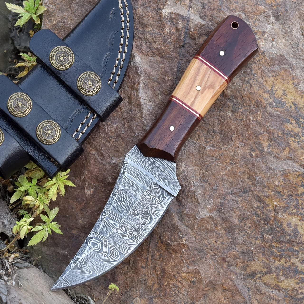 KBS Knives Store Skinning Knives Damascus Skinning Knife With Rose Wood and Olive Wood Handle