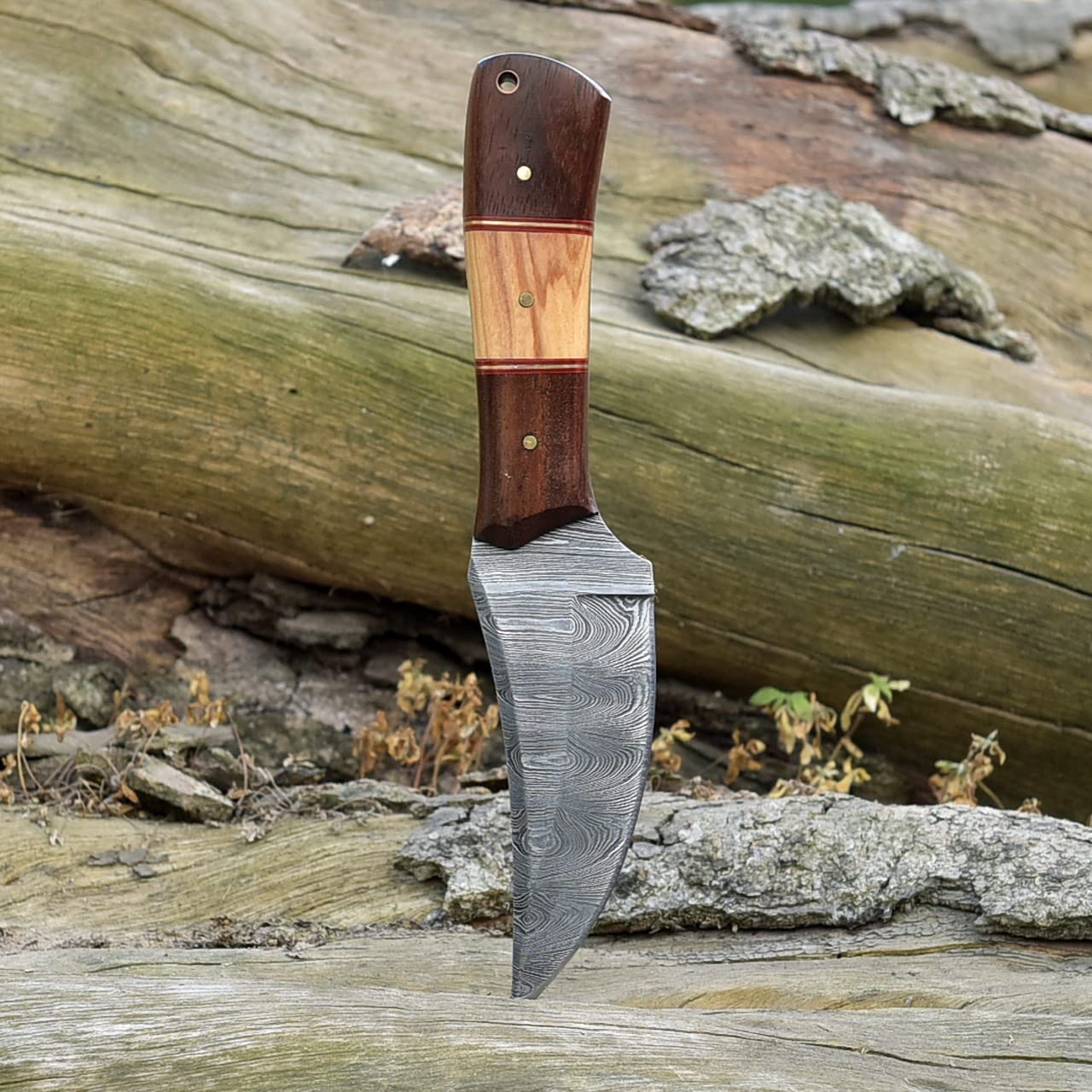 KBS Knives Store Skinning Knives Damascus Skinning Knife With Rose Wood and Olive Wood Handle