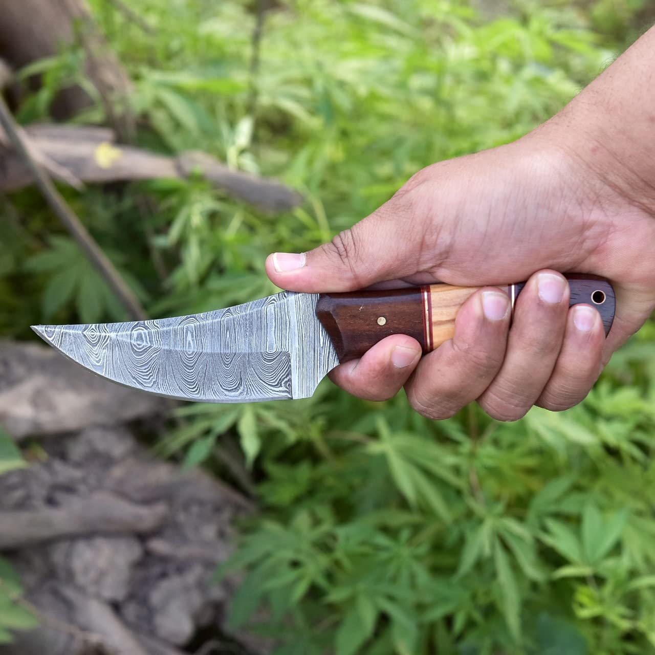 KBS Knives Store Skinning Knives Damascus Skinning Knife With Rose Wood and Olive Wood Handle