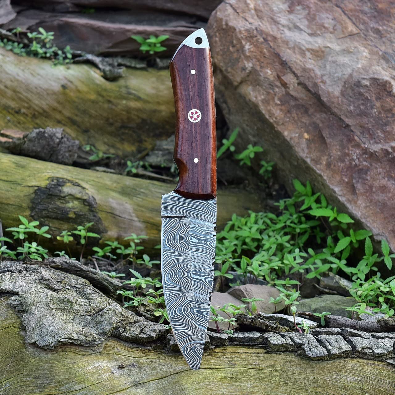 KBS Knives Store Skinning Knives Damascus Skinning Knife With Rose Wood Handle