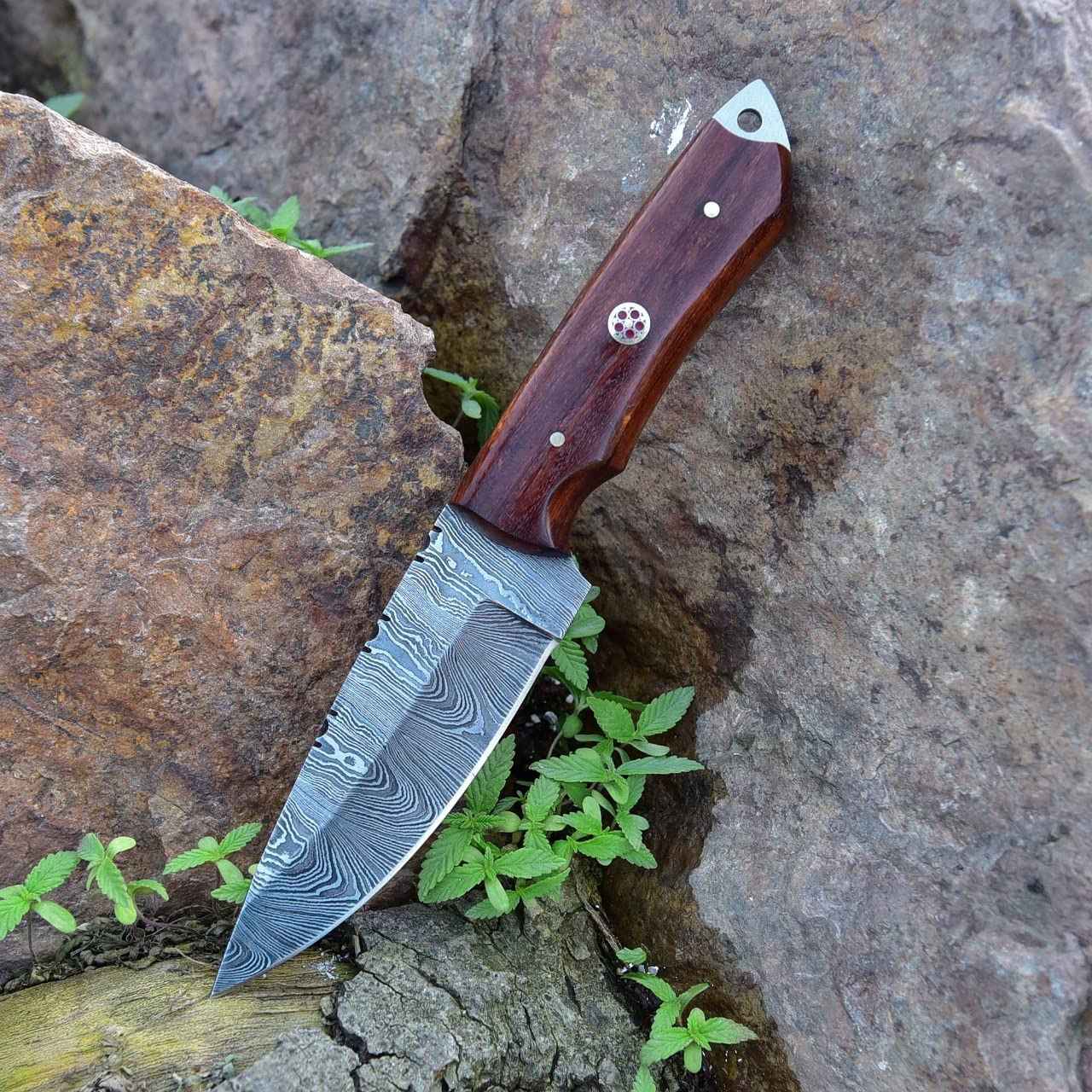 KBS Knives Store Skinning Knives Damascus Skinning Knife With Rose Wood Handle
