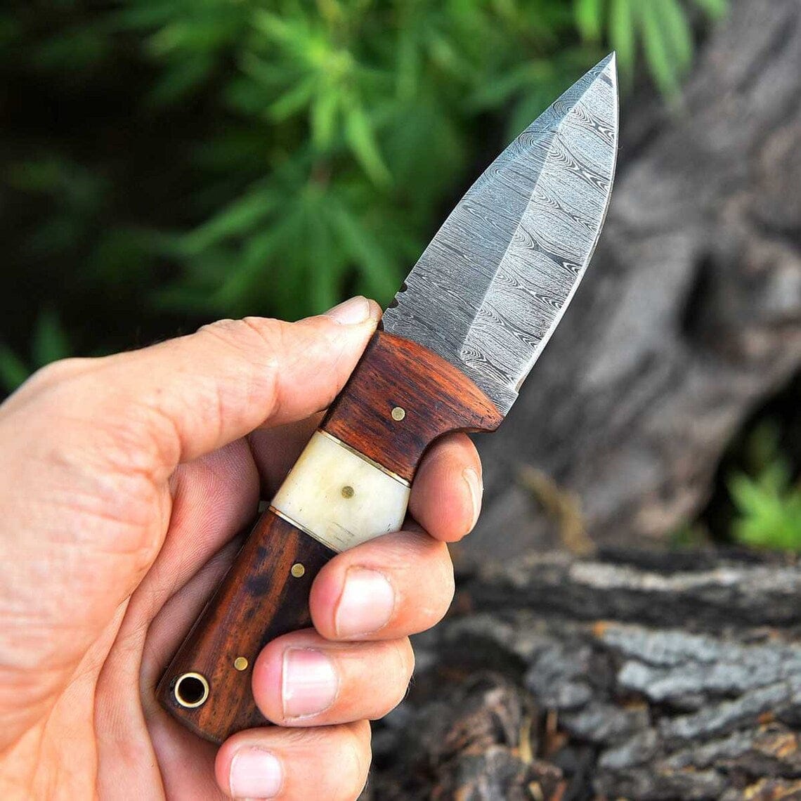 KBS Knives Store Skinning Knives EDC Custom Handmade Damascus Steel Skinning Blade with Rosewood & Bone Handle, 6.25-inch
