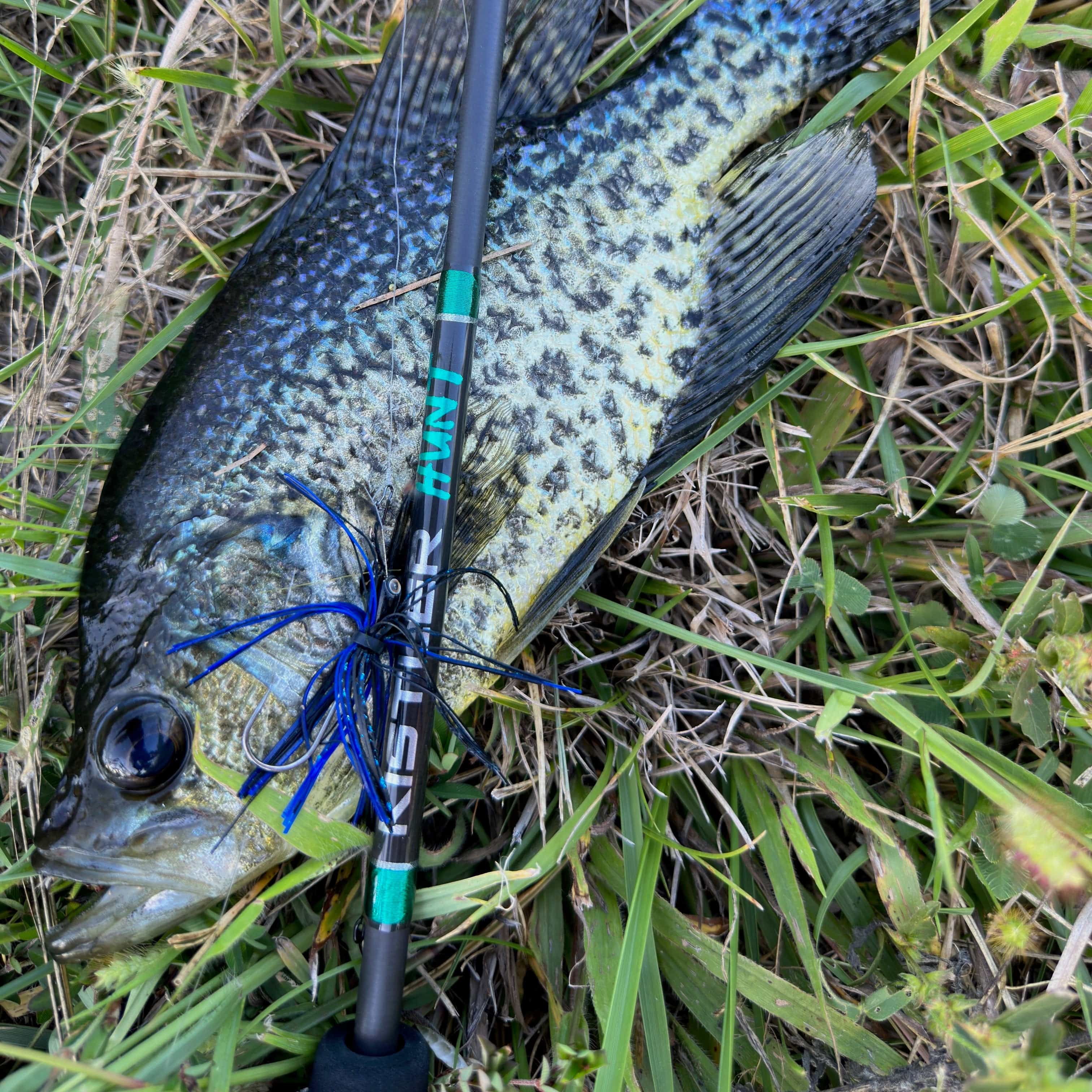 KISTLER Fishing Fishing Rods Hunt BFS Fishing Rods