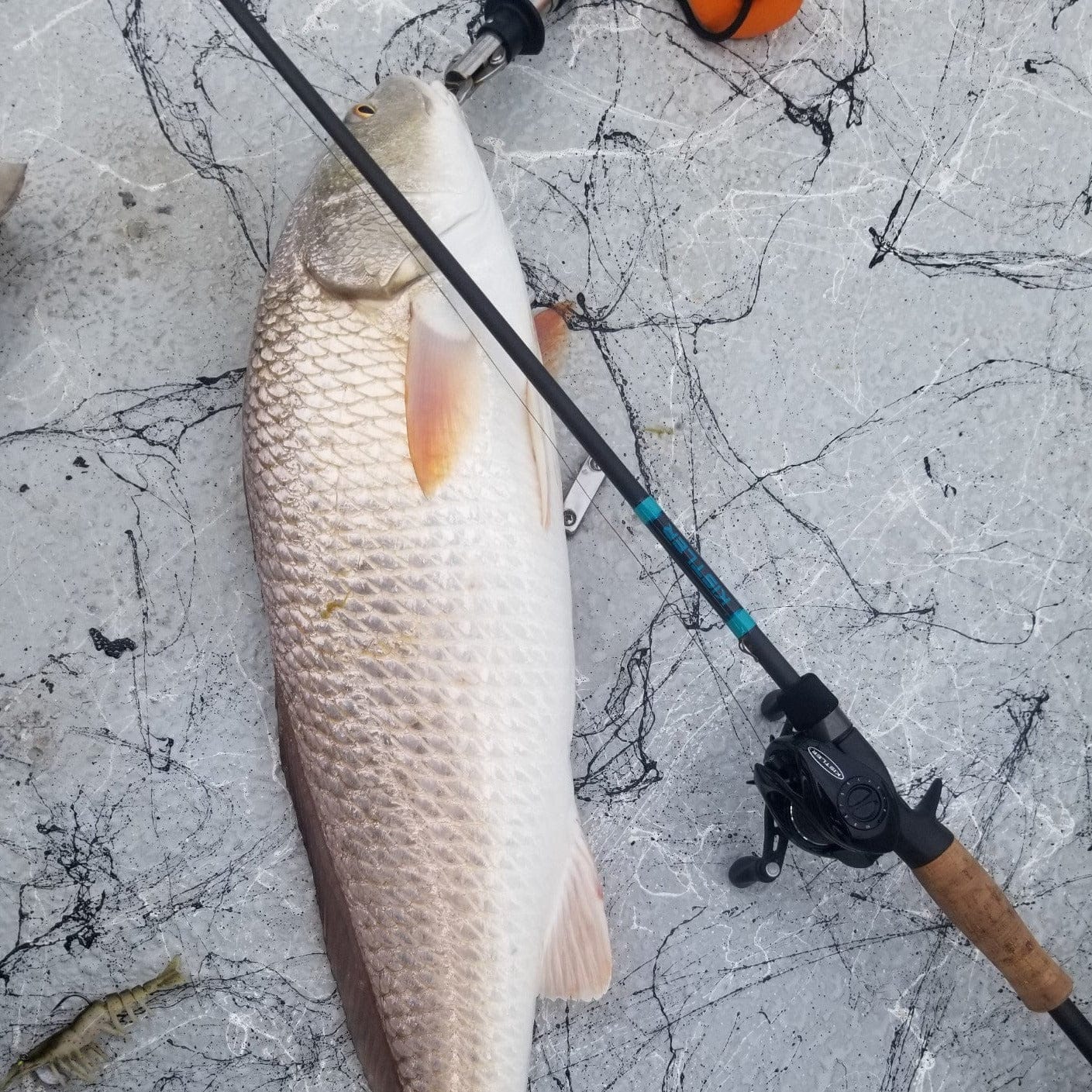 KISTLER Fishing Fishing Rods Salt Series Fishing Rods