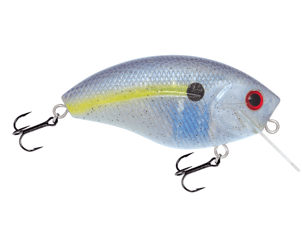 Livingston Lures Crankbait Beauty Shad Howeller DMC SQ