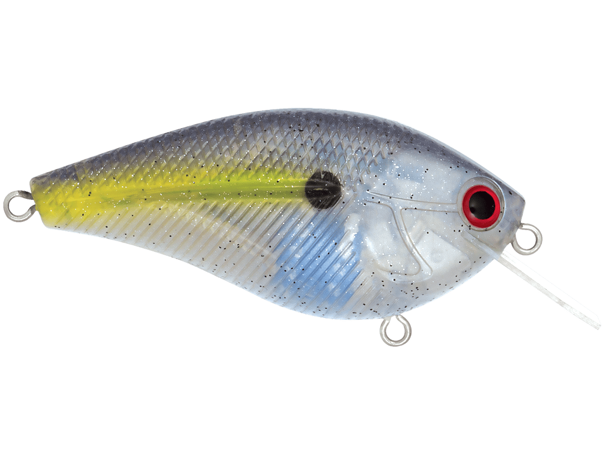 Livingston Lures Crankbait Beauty Shad Primetyme CB 2.0