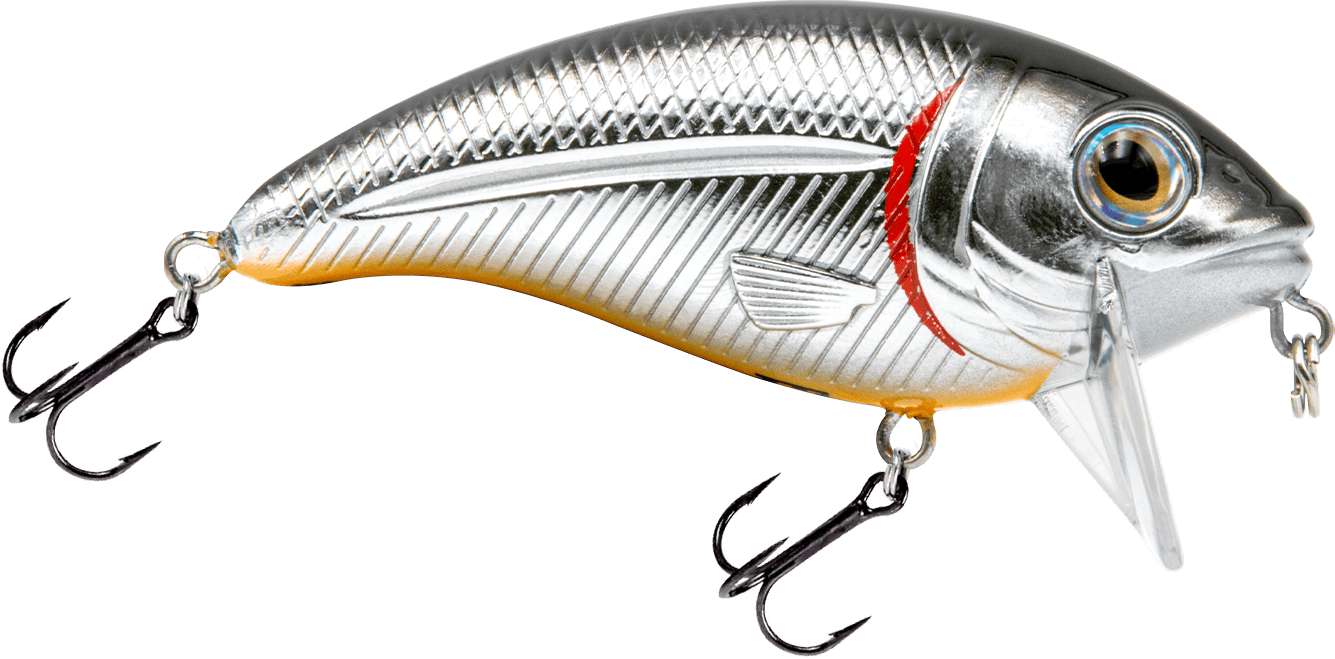 Livingston Lures Crankbaits Black Back Chrome Shad Bull Nose