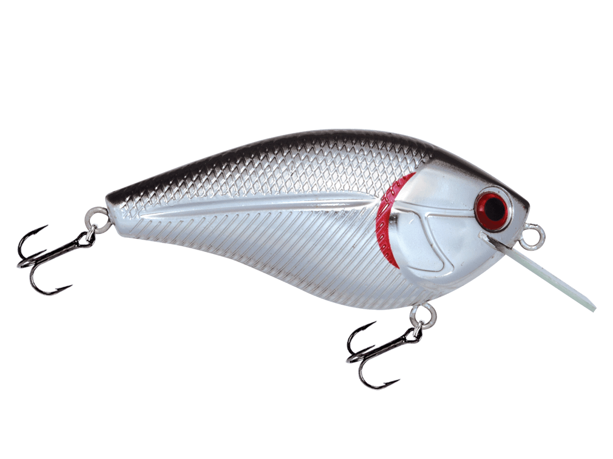 Livingston Lures Crankbaits Black Back Chrome Shad Primetyme SQ 2.0