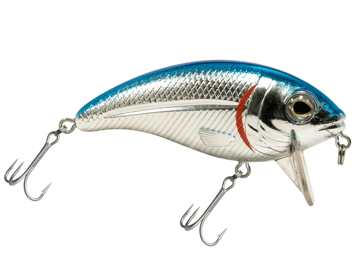 Livingston Lures Crankbaits Blue Back Chrome Shad Bull Nose