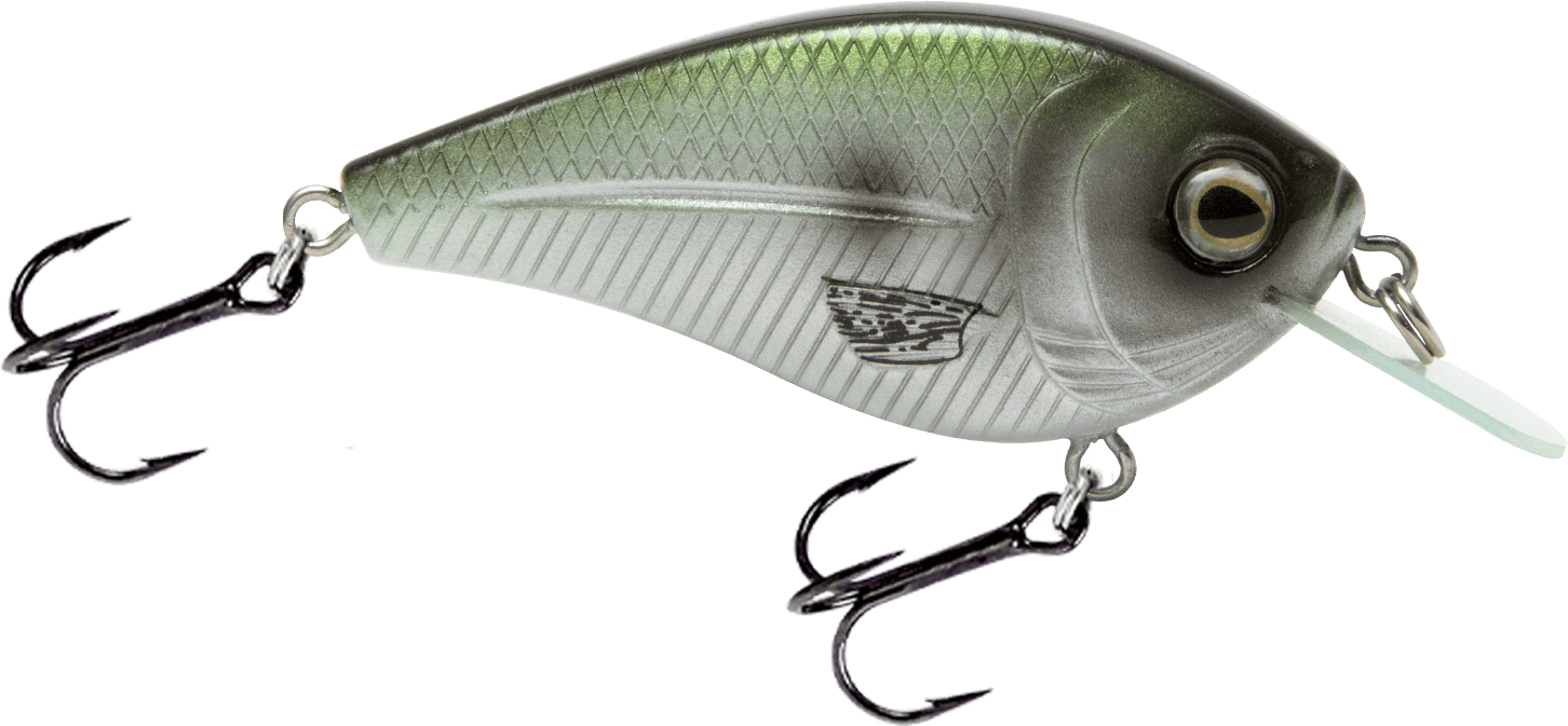 Livingston Lures Crankbaits Blue Back Herring FlatMaster SQ