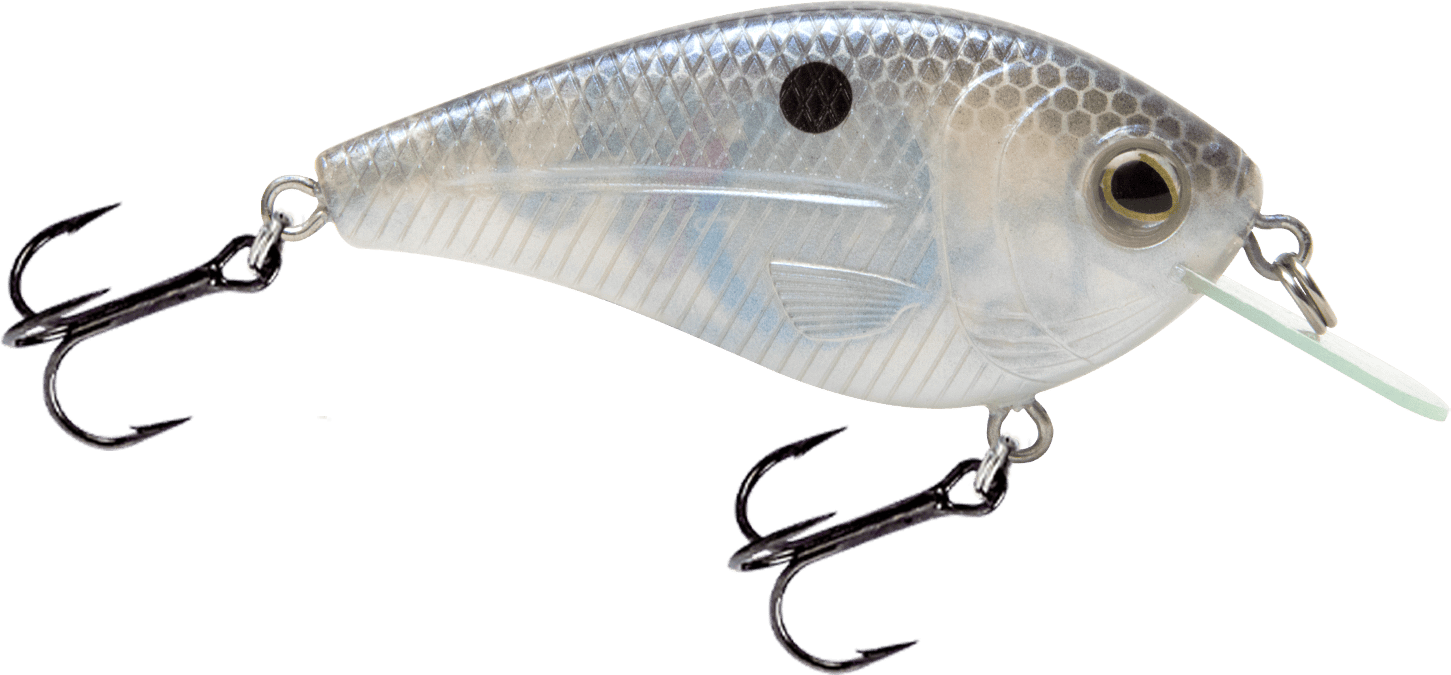 Livingston Lures Crankbaits Blue Gizzard Shad FlatMaster SQ