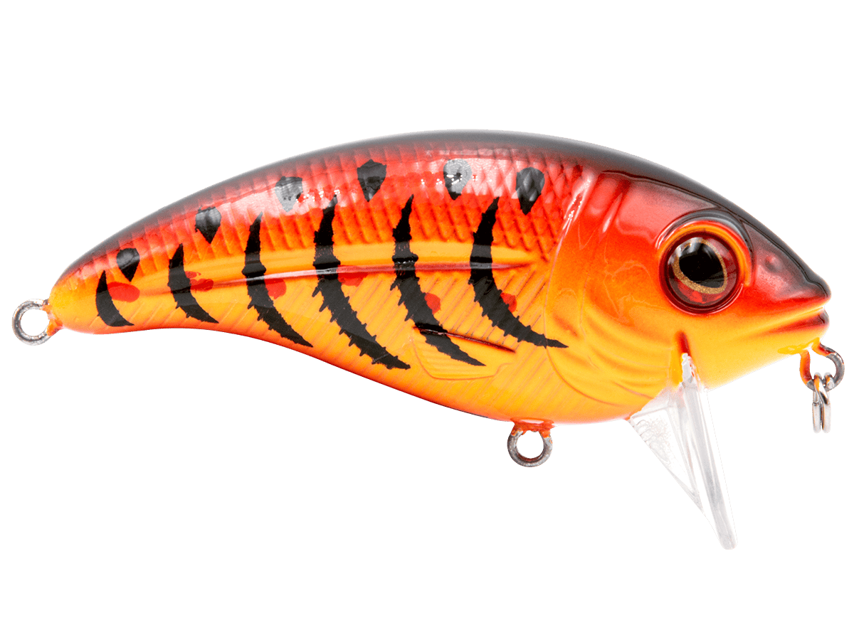 Livingston Lures Crankbaits Bull Nose