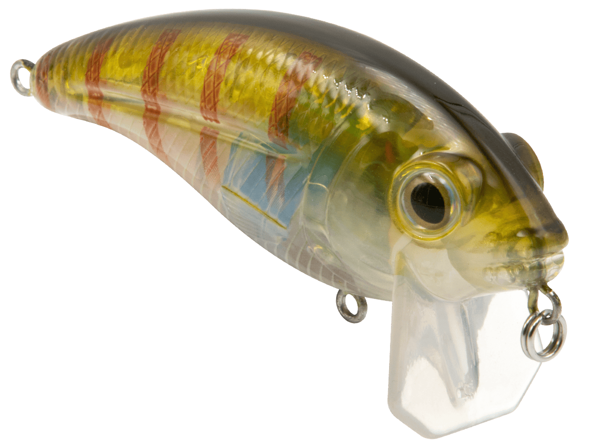 Livingston Lures Crankbaits Bull Nose