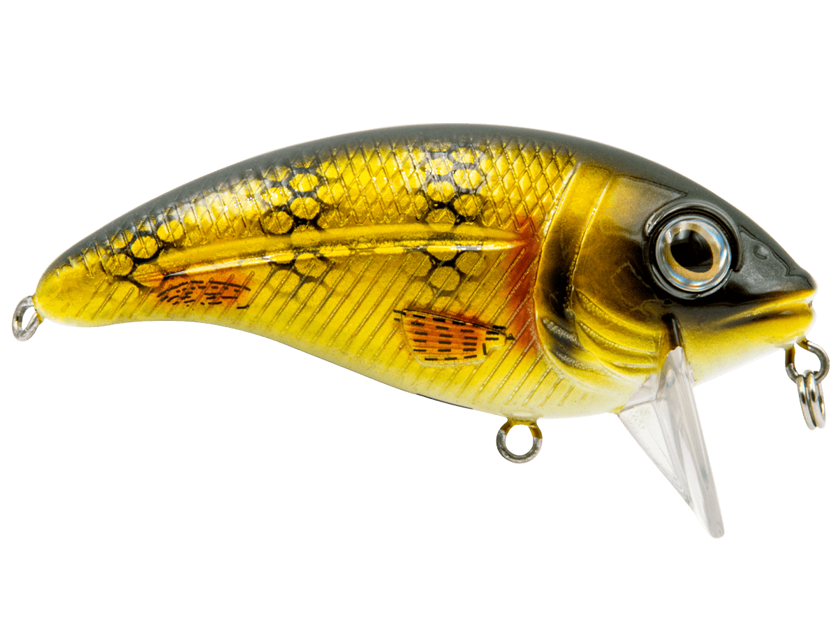 Livingston Lures Crankbaits Bull Nose