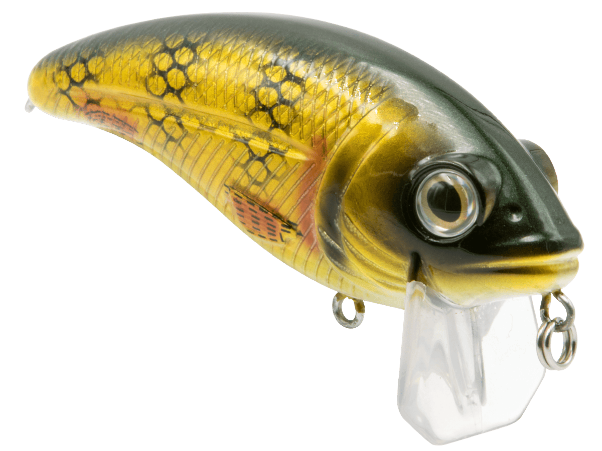 Livingston Lures Crankbaits Bull Nose