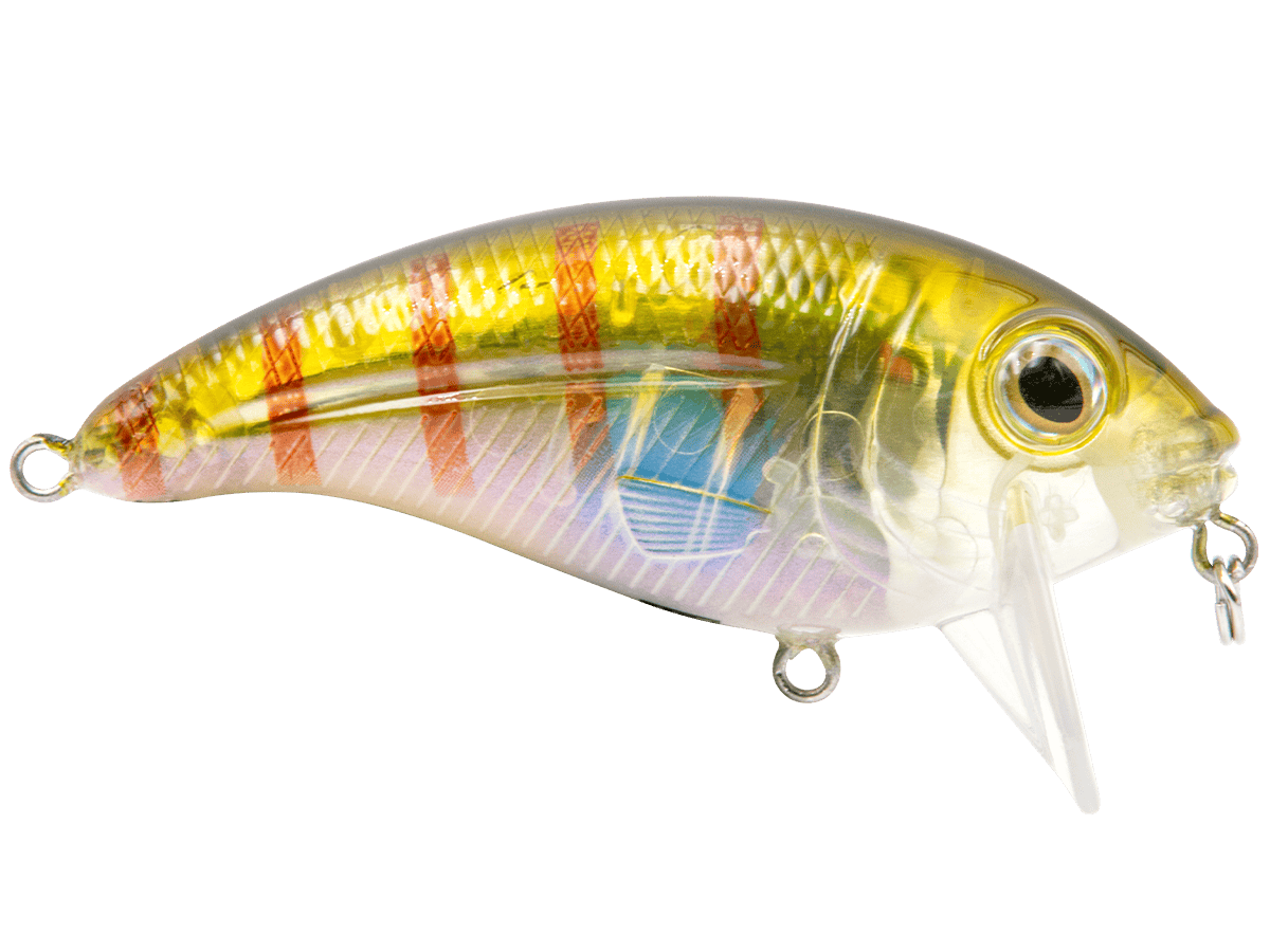 Livingston Lures Crankbaits Bull Nose