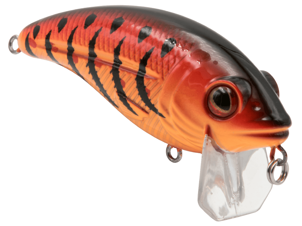 Livingston Lures Crankbaits Bull Nose