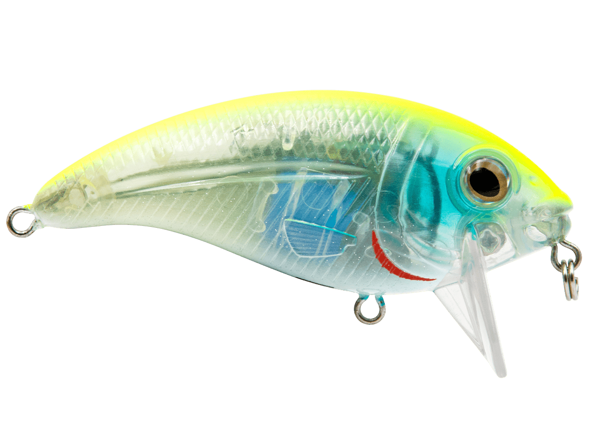 Livingston Lures Crankbaits Bull Nose