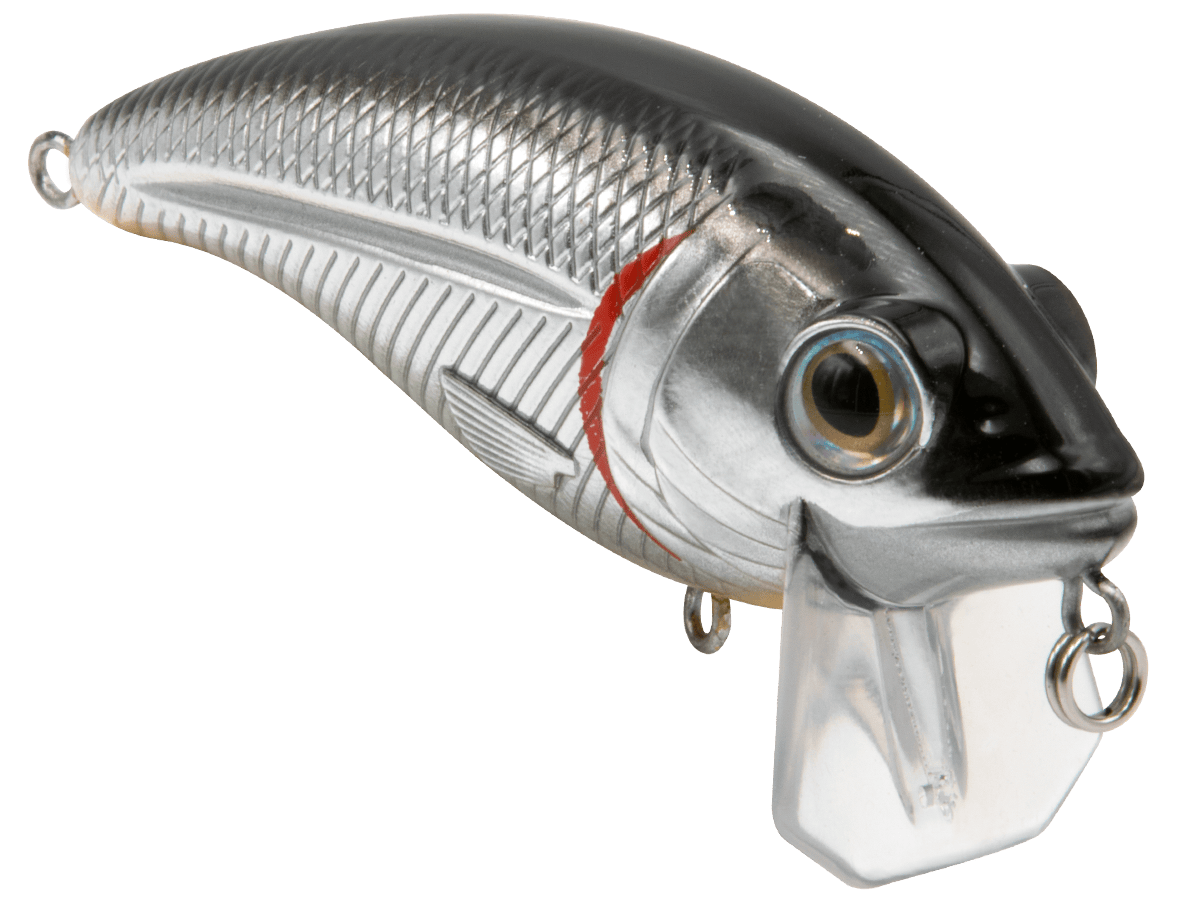 Livingston Lures Crankbaits Bull Nose