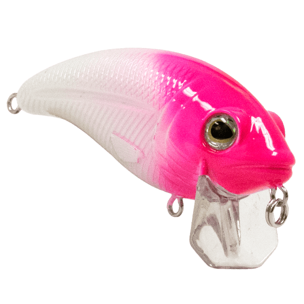 Livingston Lures Crankbaits Bull Nose