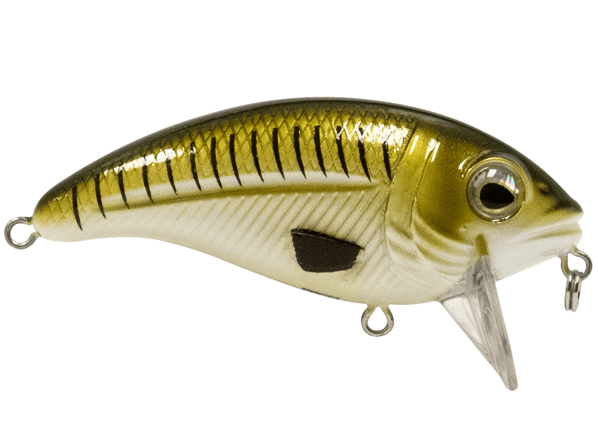 Livingston Lures Crankbaits Bull Nose