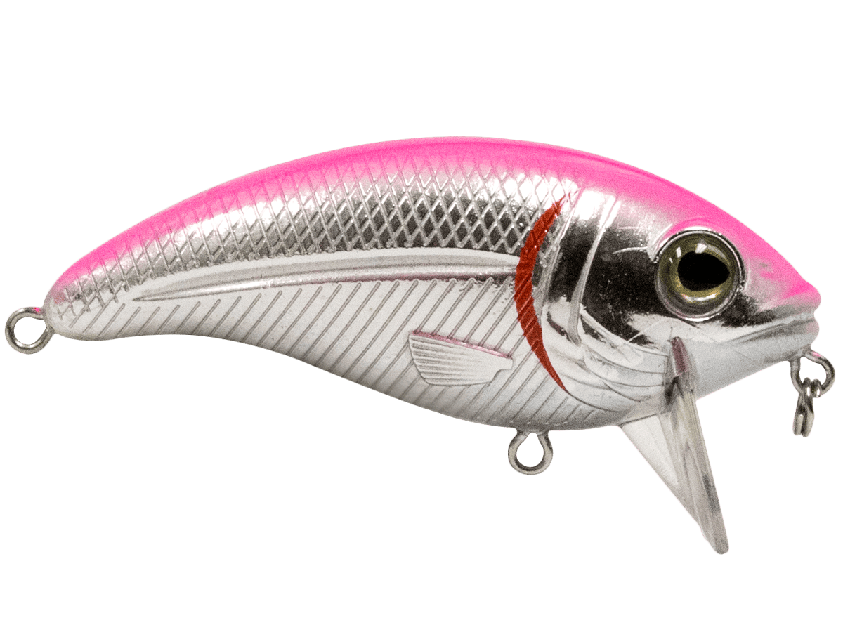 Livingston Lures Crankbaits Bull Nose