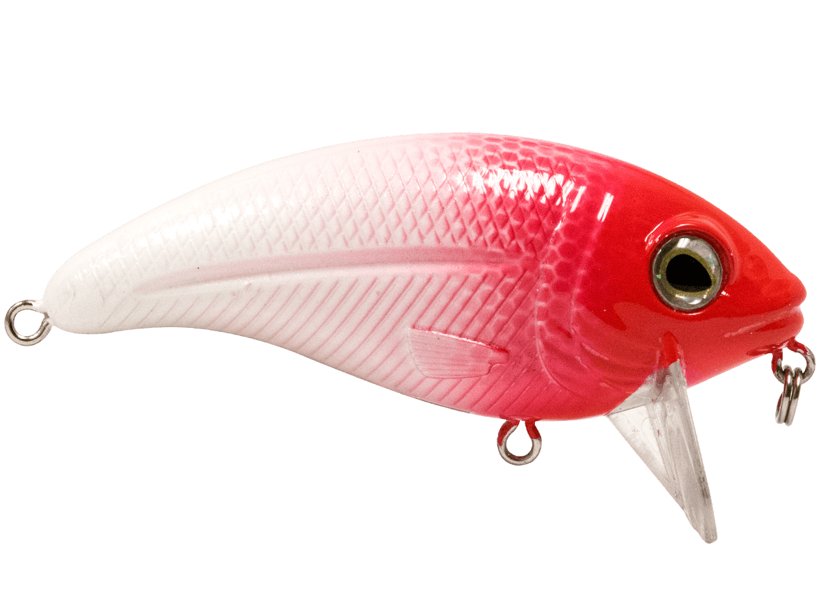 Livingston Lures Crankbaits Bull Nose