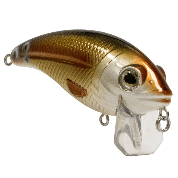 Livingston Lures Crankbaits Bull Nose