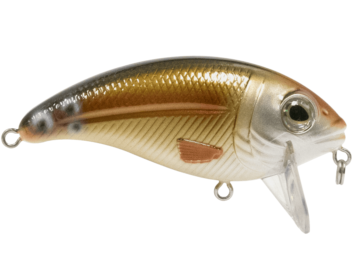 Livingston Lures Crankbaits Bull Nose