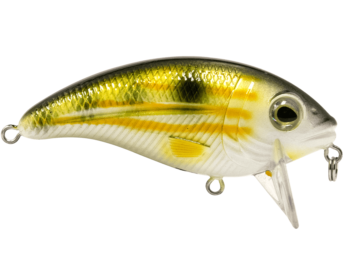 Livingston Lures Crankbaits Bull Nose