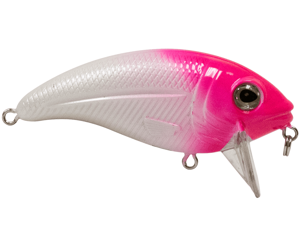 Livingston Lures Crankbaits Bull Nose