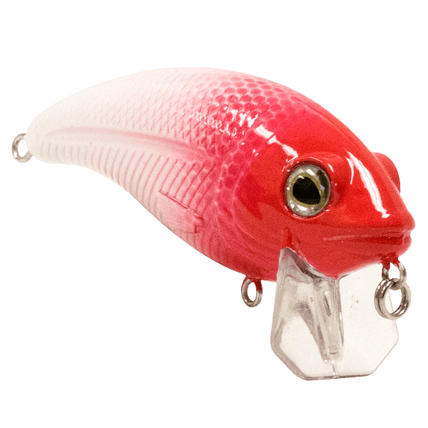 Livingston Lures Crankbaits Bull Nose