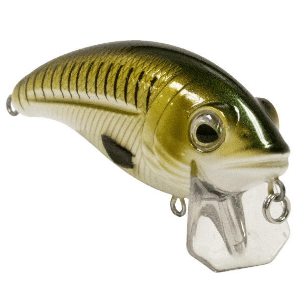 Livingston Lures Crankbaits Bull Nose