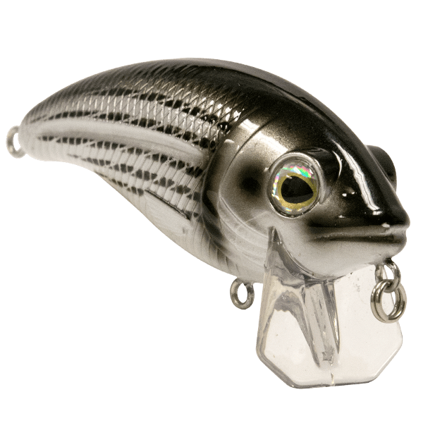 Livingston Lures Crankbaits Bull Nose