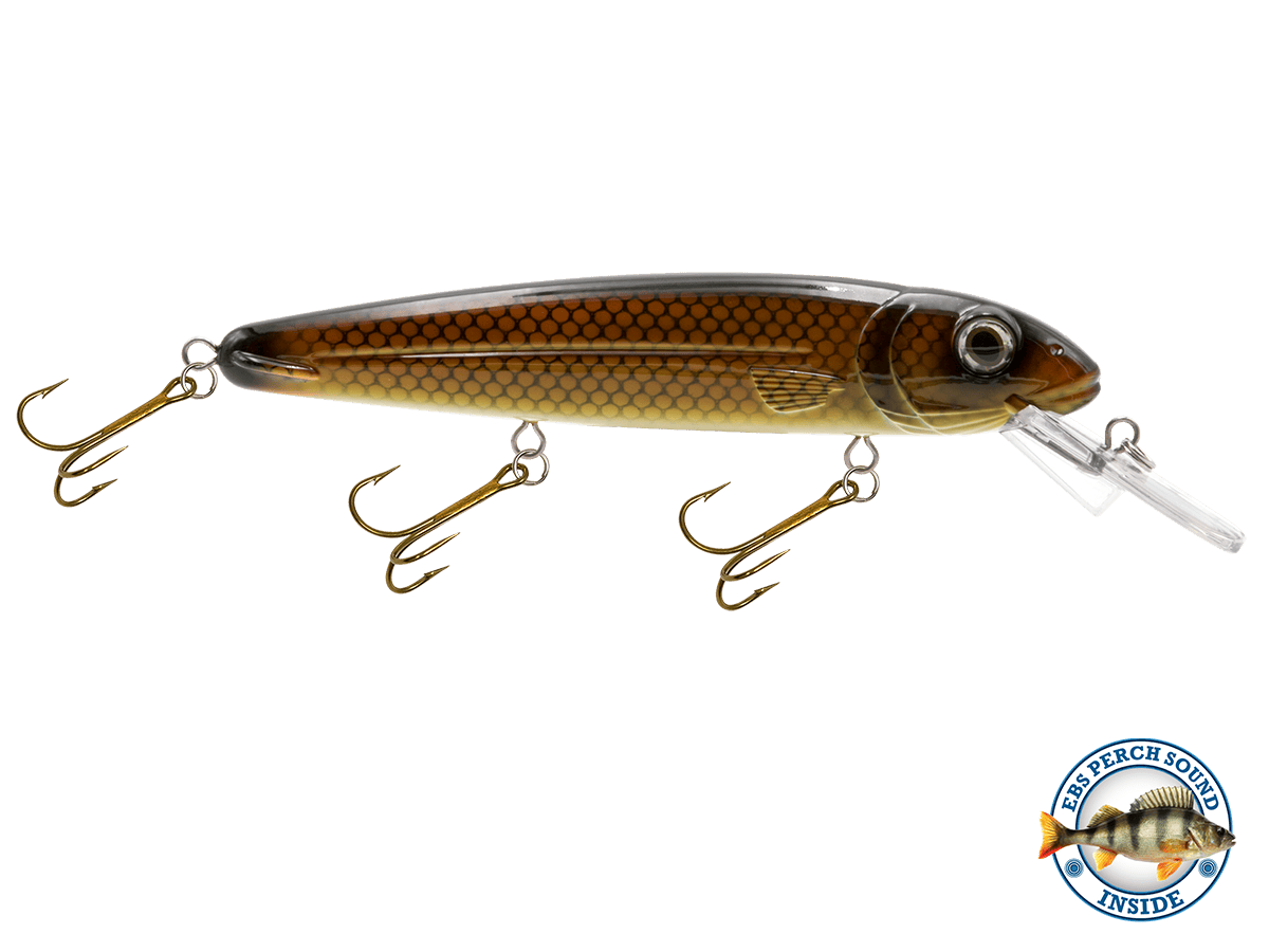 Livingston Lures Crankbaits Carp/Suckerfish / Perch Sound Rachel (Suspending) 8"