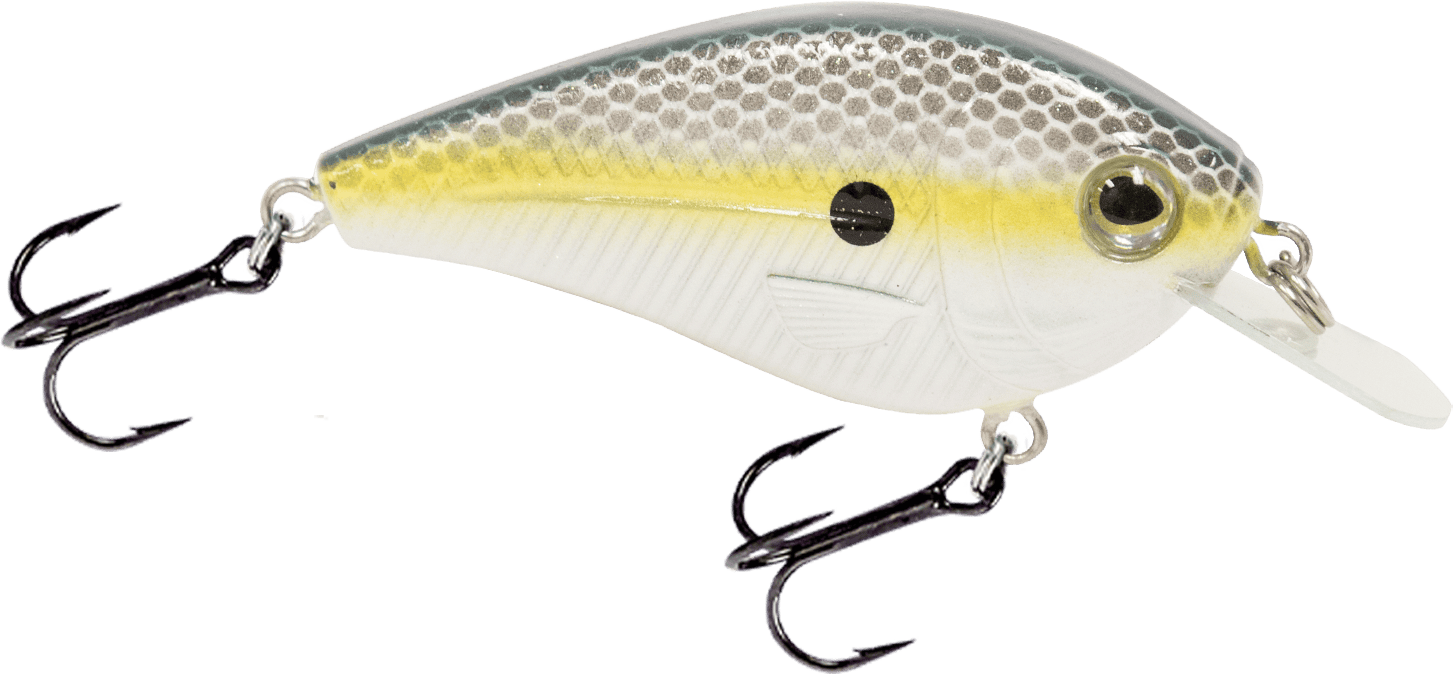 Livingston Lures Crankbaits Chartreuse Shad FlatMaster SQ